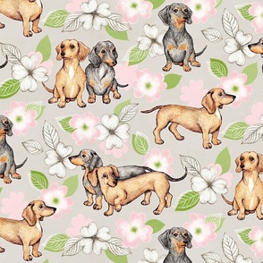 Dachshund fabric 2025